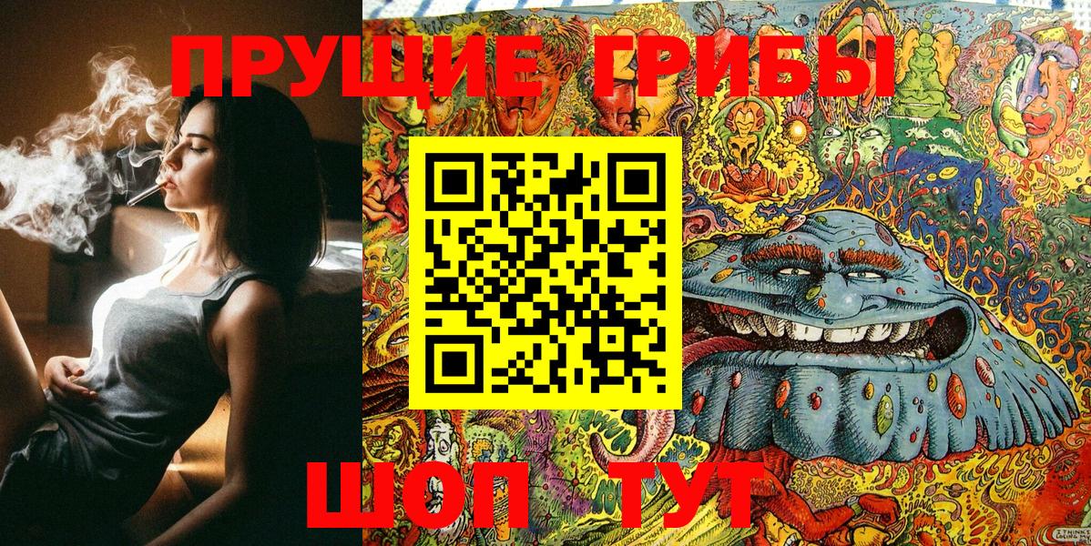 Коряжма  Галлюциногенные грибы GOLDEN TEACHER  Вход с VPN 